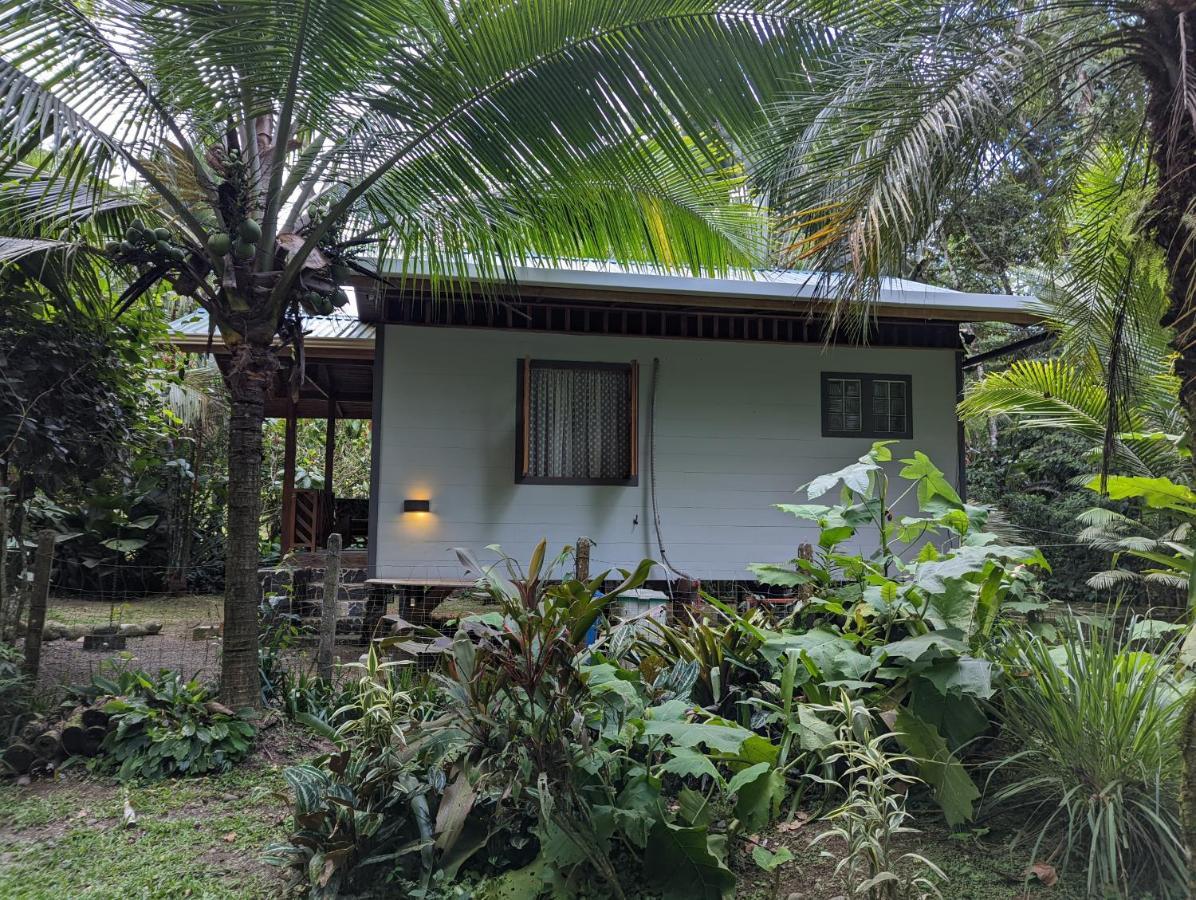 Casita Bribri At Margarita Hills Villa Cocles Eksteriør bilde